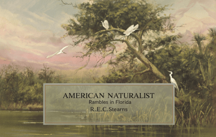 American Naturalist: Rambles in Florida by R.E.C. Stearns - Part 01