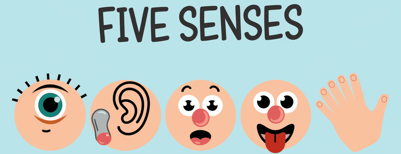 The Five Senses for Kids - Preschool Education